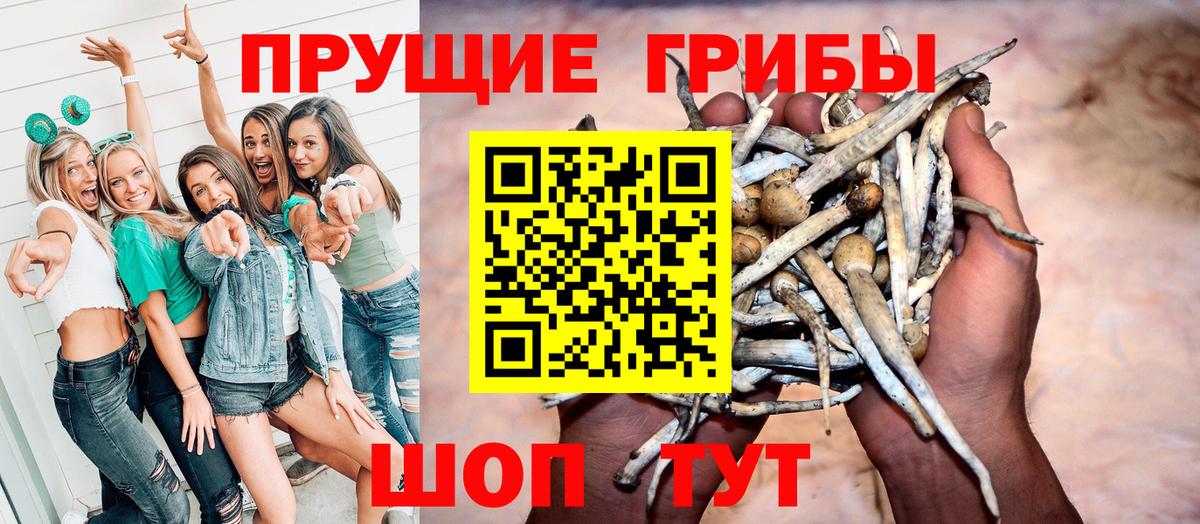 Галлюциногенные грибы Magic Shrooms  Галлюциногенные грибы прущие грибы  Анжеро-Судженск  Вход с VPN 